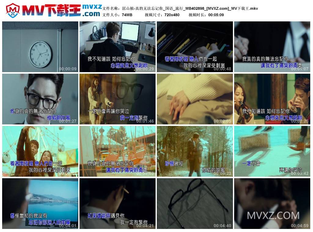 居山植-真的无法忘记你_国语_流行_MB402898